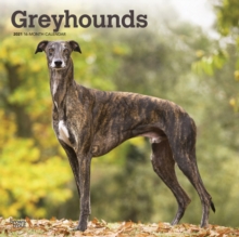 GREYHOUNDS 2021 SQUARE