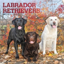 Image for Labrador Retrievers 2021 Square Foil Calendar