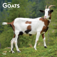 GOATS 2021 SQUARE