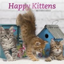 Image for Kittens, Happy 2021 Square Foil Avc Calendar