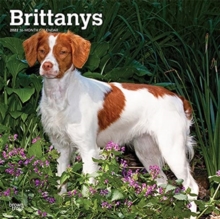 BRITTANYS 2022 SQUARE