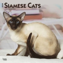 Image for SIAMESE CATS 2024 SQUARE