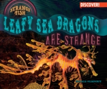 Image for Leafy Sea Dragons Are Strange