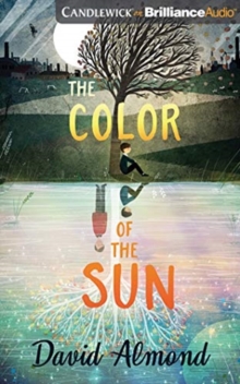 Image for COLOR OF THE SUN THE