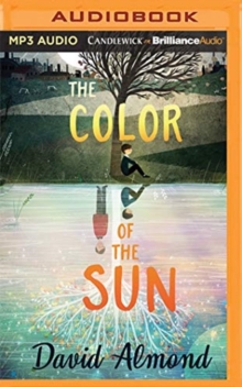 Image for COLOR OF THE SUN THE