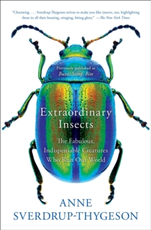 Image for Extraordinary Insects : The Fabulous, Indispensable Creatures Who Run Our World