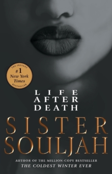 Image for Life after death  : a novel