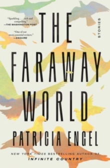 Image for The faraway world  : stories