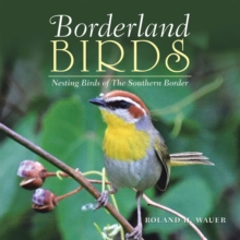 Image for Borderland Birds: Nesting Birds of the Southern Border