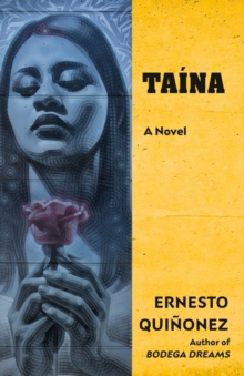 Image for Taina: a novel