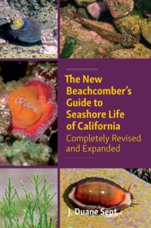 The New Beachcombers Guide to Seashore Life of Californi: Completely Revised and Expanded 2023