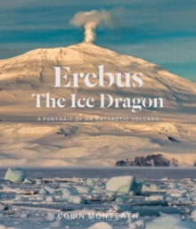 Image for Erebus the Ice Dragon