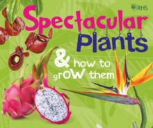 Image for RHS Spectacular Plants and how to grow them