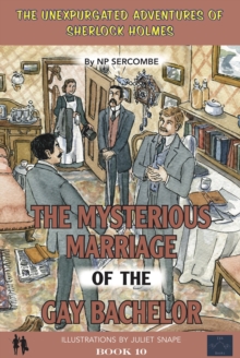 Image for The Mysterious Marriage of the Gay Bachelor