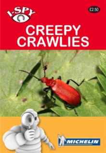 Image for Creepy crawlies