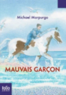 Image for Mauvais garcon