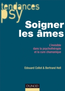 Image for Soigner Les Ames: L'invisible Dans La Psychotherapie Et La Cure Chamanique