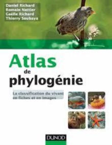 Image for Atlas De Phylogenie