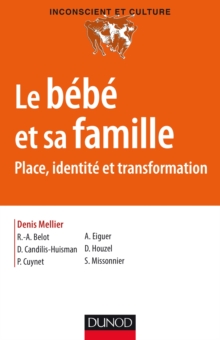 Image for Le Bebe Et Sa Famille: Places, Identites Et Transformations