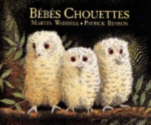 Image for Bebes chouettes