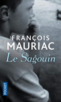 Image for Le sagouin