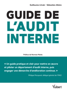 Image for Guide de l'audit interne