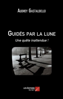 Image for Guides Par La Lune: Une Quete Inattendue !