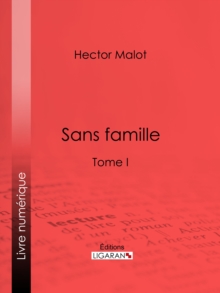 Image for Sans Famille: Tome I