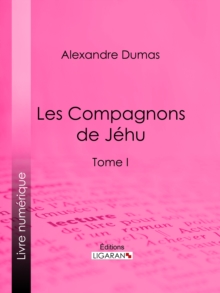 Image for Les Compagnons De Jehu: Tome I