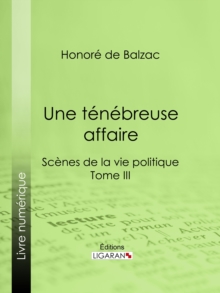 Image for Une Tenebreuse Affaire: Scenes De La Vie Politique - Tome Iii