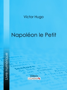 Image for Napoleon le Petit