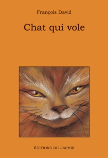 Image for Chat qui vole: L'aventure de Manzado et de son curieux chat en Esotie