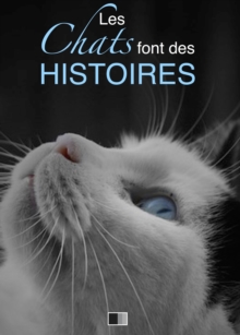 Image for Les chats font des histoires