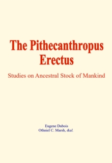 Image for Pithecanthropus Erectus: Studies on Ancestral Stock of Mankind
