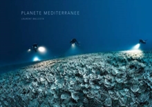 Image for Mediterranean Planet