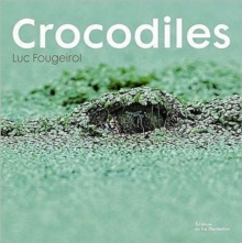 Image for Crocodiles