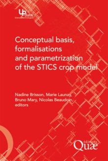 Image for Conceptual basis formalisations and parameterization of the STICS crop model [electronic resource]. 