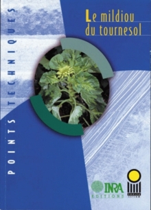 Image for Le mildiou du tournesol