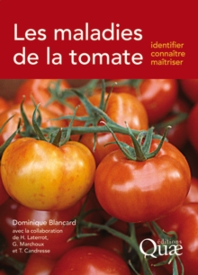 Image for Les maladies de la tomate