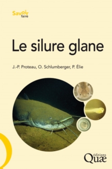 Image for Le silure glane