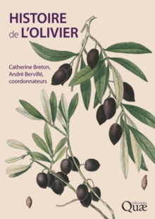 Image for Histoire de l'olivier