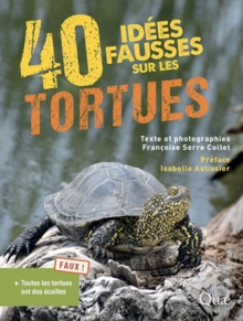 Image for 40 idées fausses sur les tortues