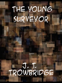 Image for The Young Surveyor