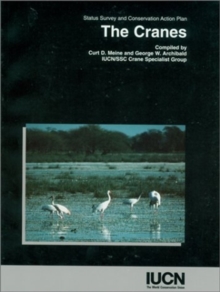 Image for The Cranes