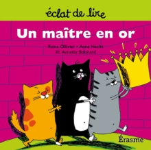 Image for Un Maitre En Or: Une Histoire Pour Lecteurs Debutants (5-8 Ans)