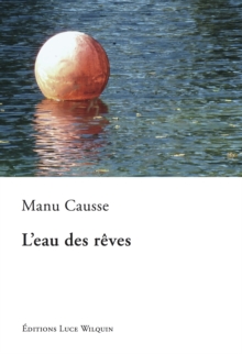 Image for L'eau des reves: Un roman tourmente