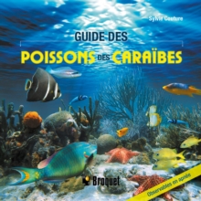 Image for Guide des poissons des Caraibes