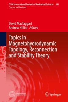 Image for Topics in Magnetohydrodynamic Topology, Reconnection and Stability Theory
