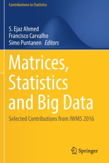 Image for Matrices, Statistics and Big Data