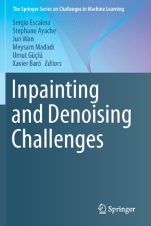 Image for Inpainting and Denoising Challenges